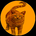 Fiercely Kind Coaching Patrica Cat