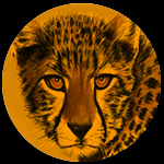 Fiercely Kind Coaching Patrica Cheetah