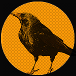 Fiercely Kind Coaching Patrica Crow