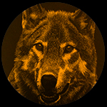 Fiercely Kind Coaching Patrica Wolf